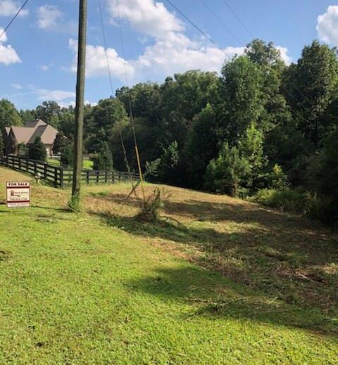 0000 Goodson Road - Photo 1