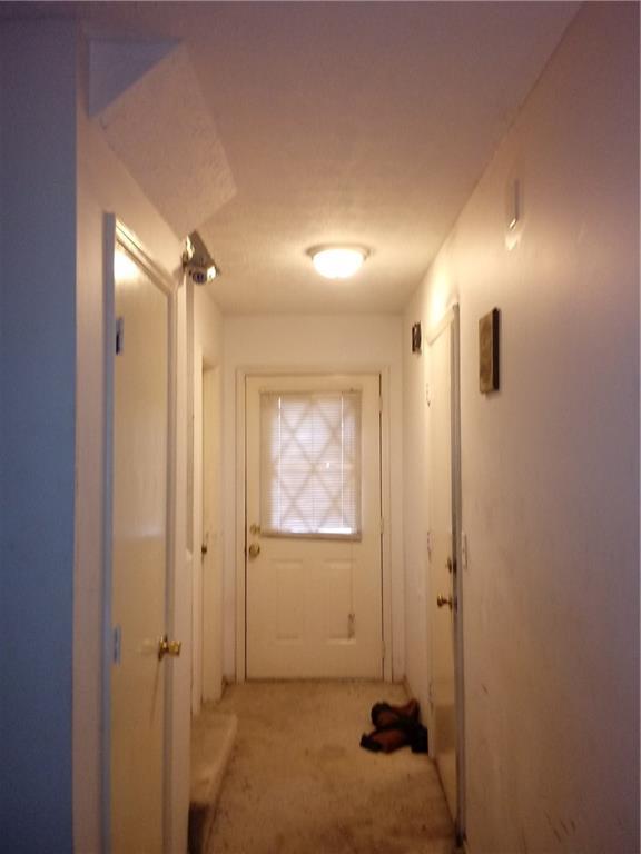 3412 Pine Tree Trail - Photo 1