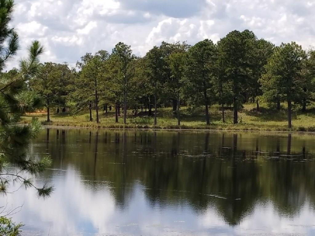 0 Mallard Circle - Photo 1