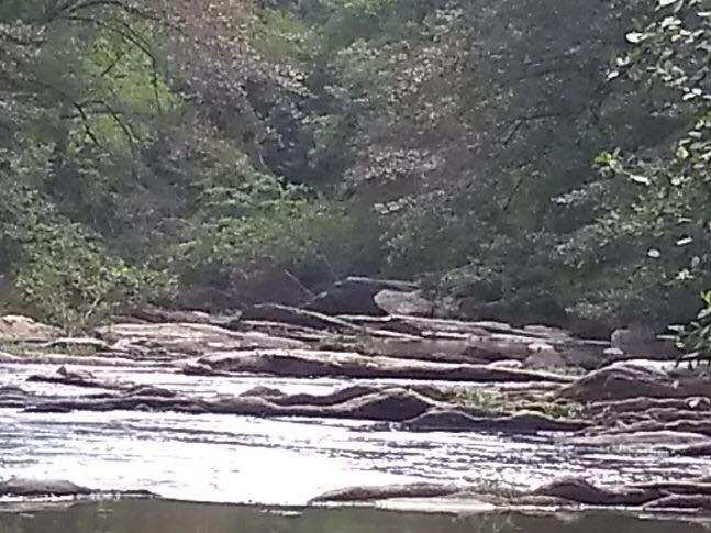 0 Armstrong Mill Road - Photo 1