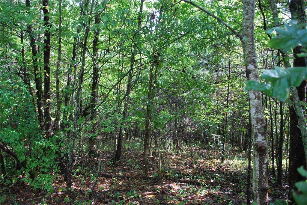 560 Alonzo Cain Road - Photo 1