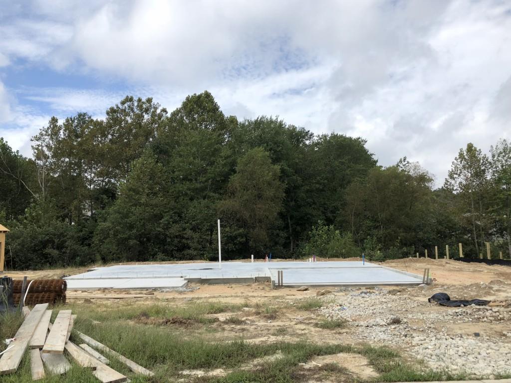 223 Azalea Lakes Drive - Photo 1
