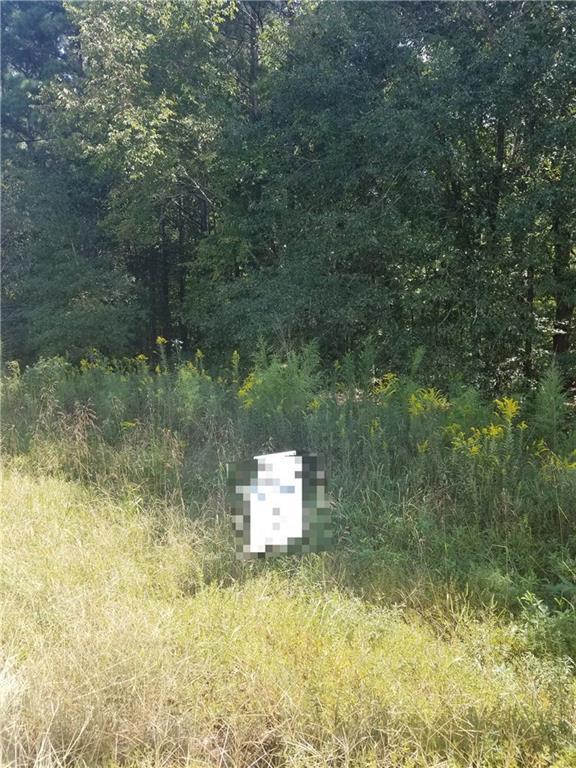 4240 Lower Jersey Road - Photo 1