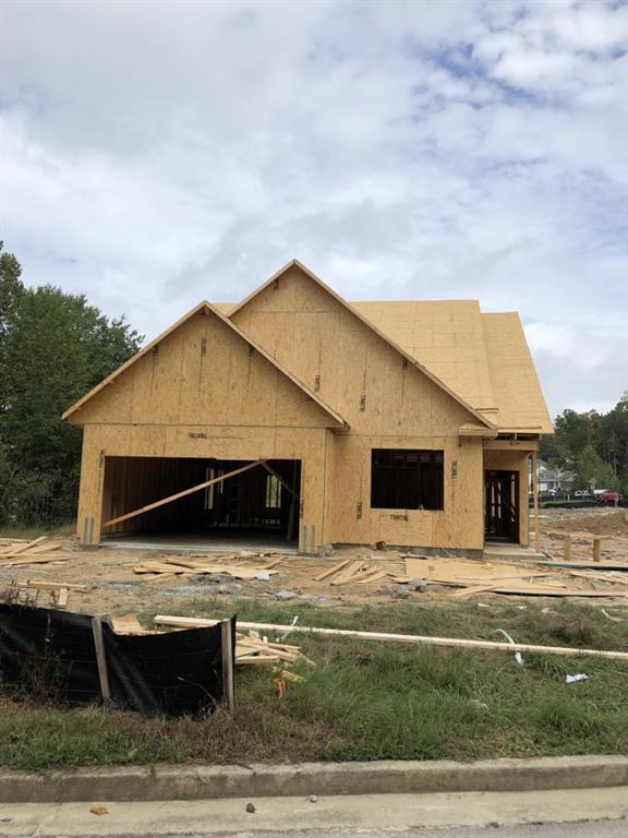 205 Azalea Lakes Drive - Photo 1