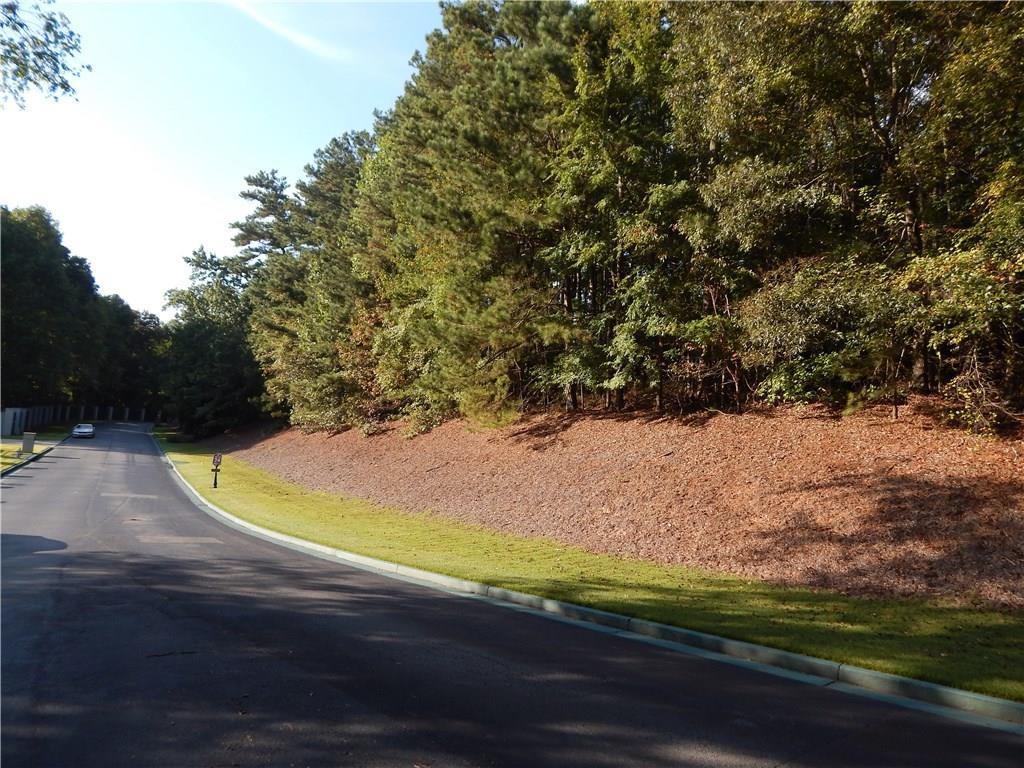 13925 Atlanta National Drive - Photo 1