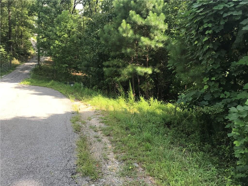 0 Ficklen Church Way - Photo 1