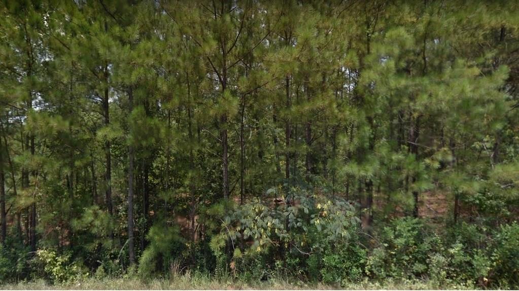 125 Cargill Road - Photo 1