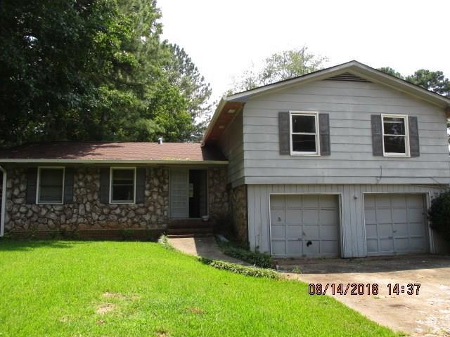 730 White Bird Way - Photo 1
