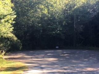 Lot 9 Lankford Drive - Photo 1