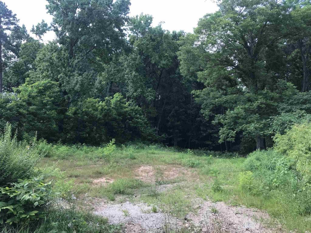 92 Pine Avenue - Photo 1