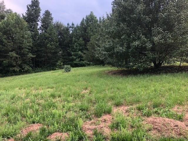 1200 Oriole Drive Sw - Photo 1