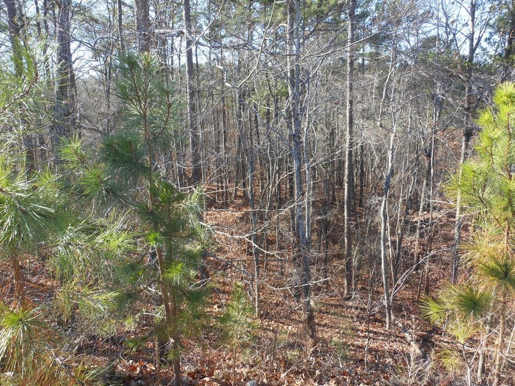 249 Tuscany Trail - Photo 1