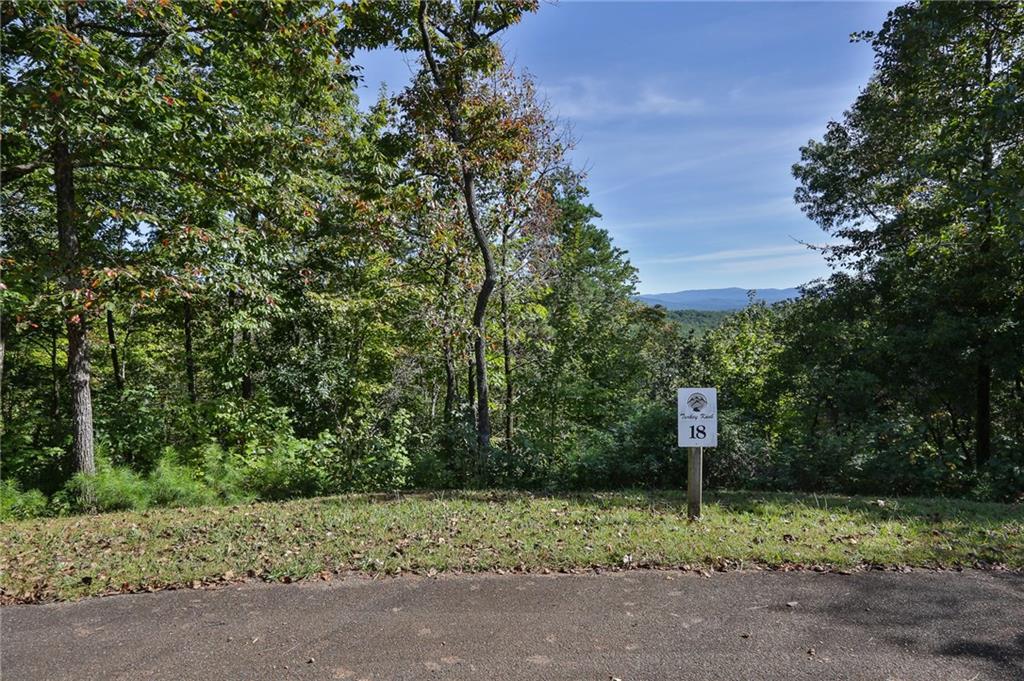 Lot18 Turkey Knob Est - Photo 1