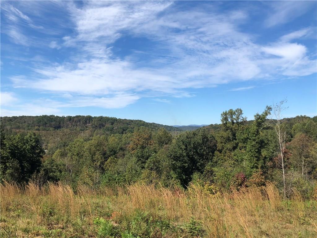 0 Brandy Mountain Road - Photo 1