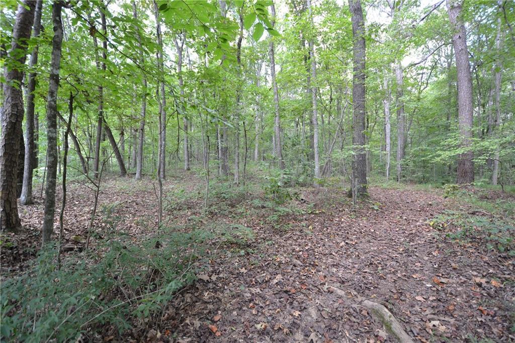 Lot 29 Danburg Court - Photo 1