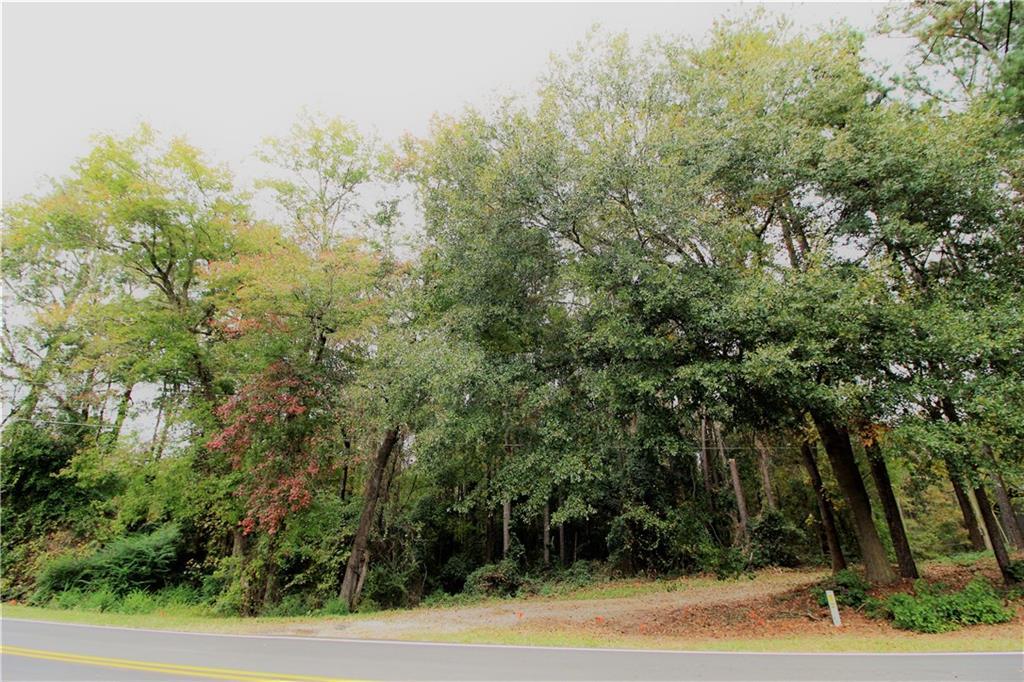 00 Duck Rd - Photo 1