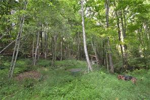 Lot 3 W Hwy 136 Highway - Photo 1