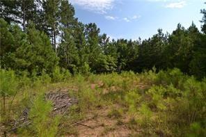 Lot 4 W Hwy 136 Highway - Photo 1