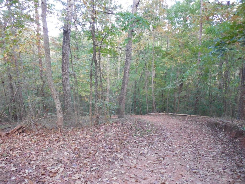 601 L1 Fern Valley Lane - Photo 1