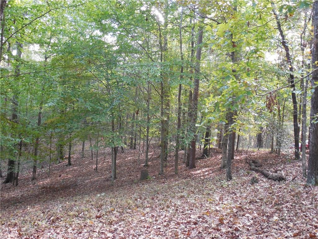 604 L3 Fern Valley Lane - Photo 1
