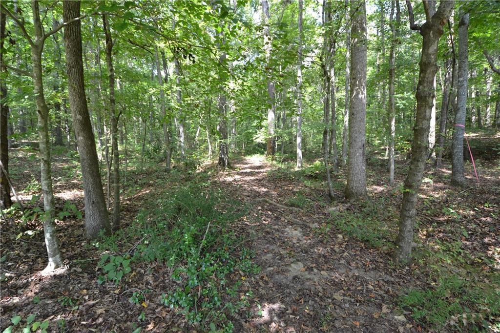 Lot 1 Roland Drive - Photo 1