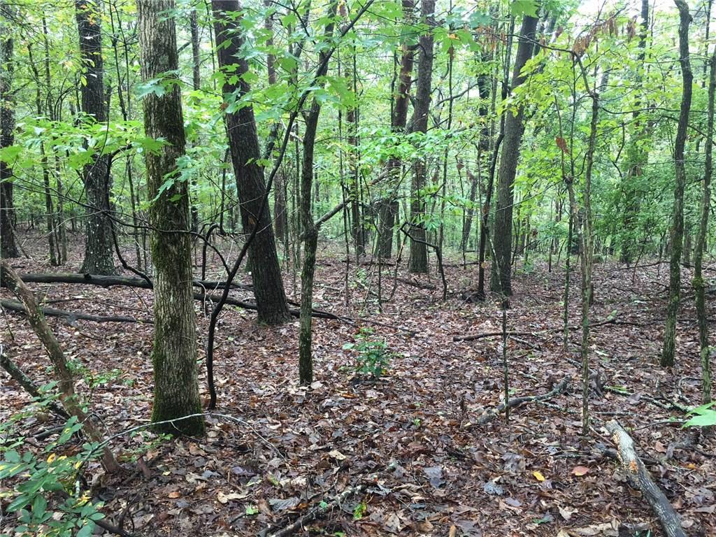2lots South Maple - Photo 1