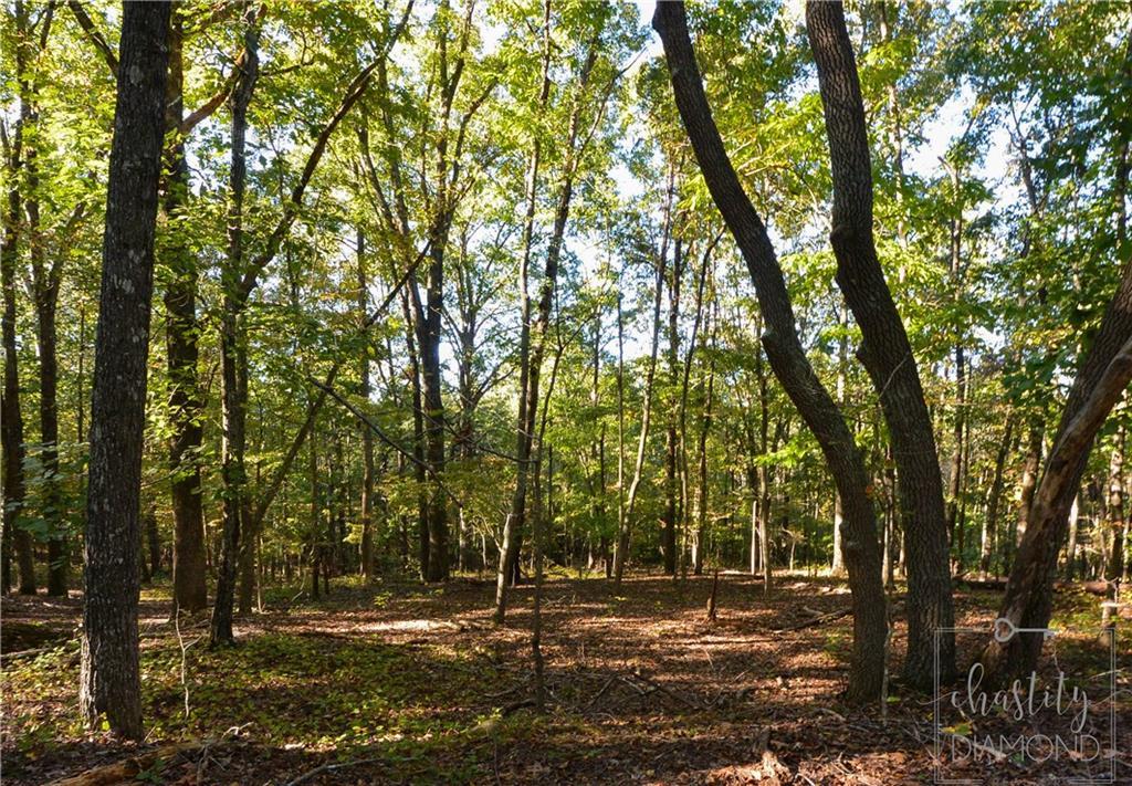 0 Blakely Way - Photo 1