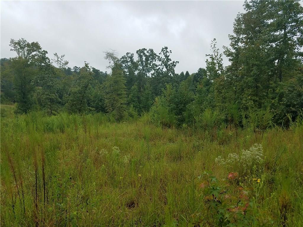 11 Hidden Brook Trail - Photo 1