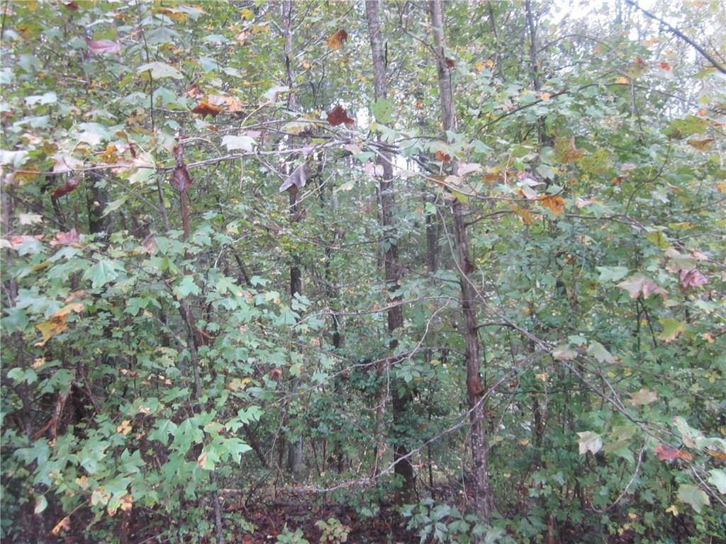 001 Land Road - Photo 1