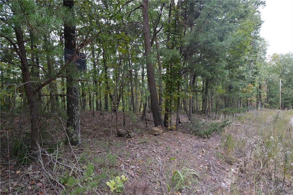 1 Richard Trail - Photo 1