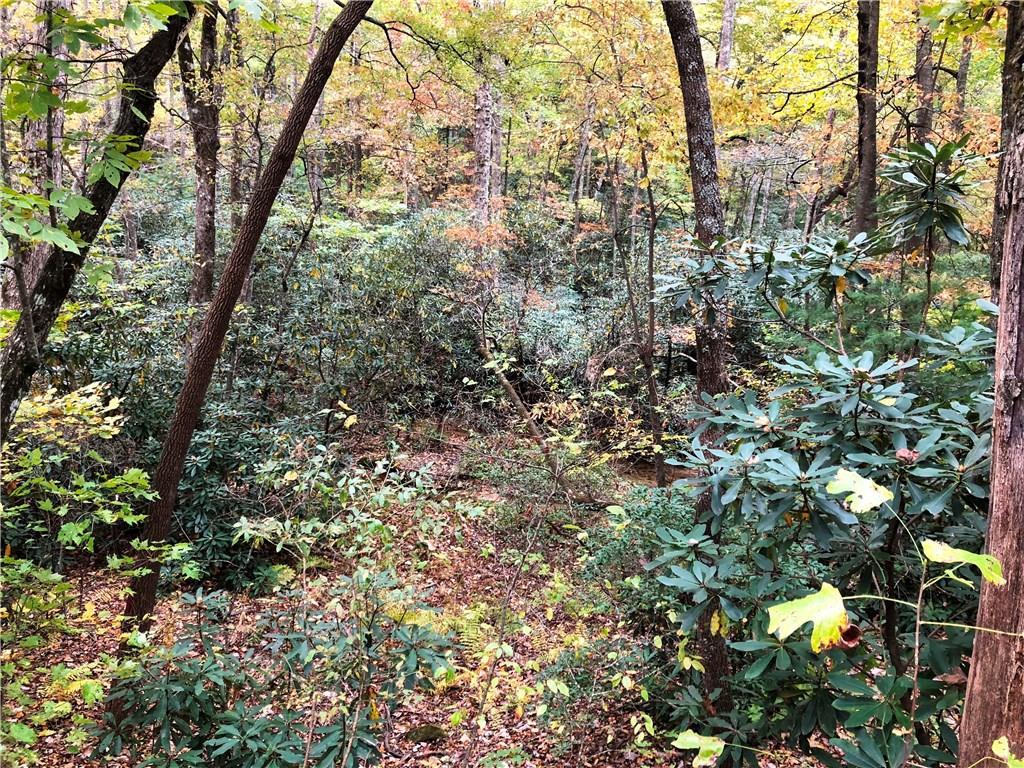Tr 6 High Shoals Road - Photo 1