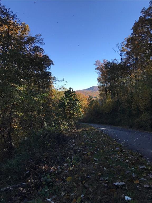 Lt234 Andes Ridge - Photo 1