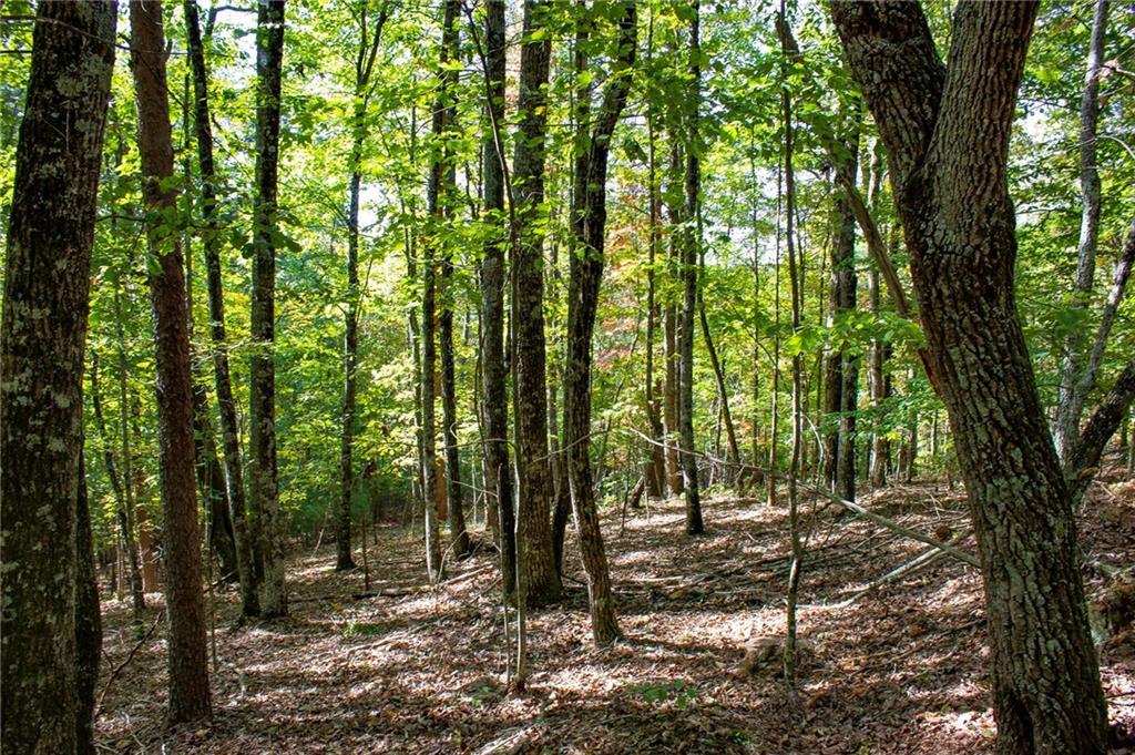 0 Arrow Ridge Road - Photo 1