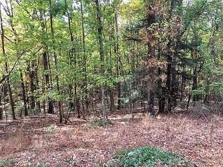 Lt 574 Satsuma Drive - Photo 1