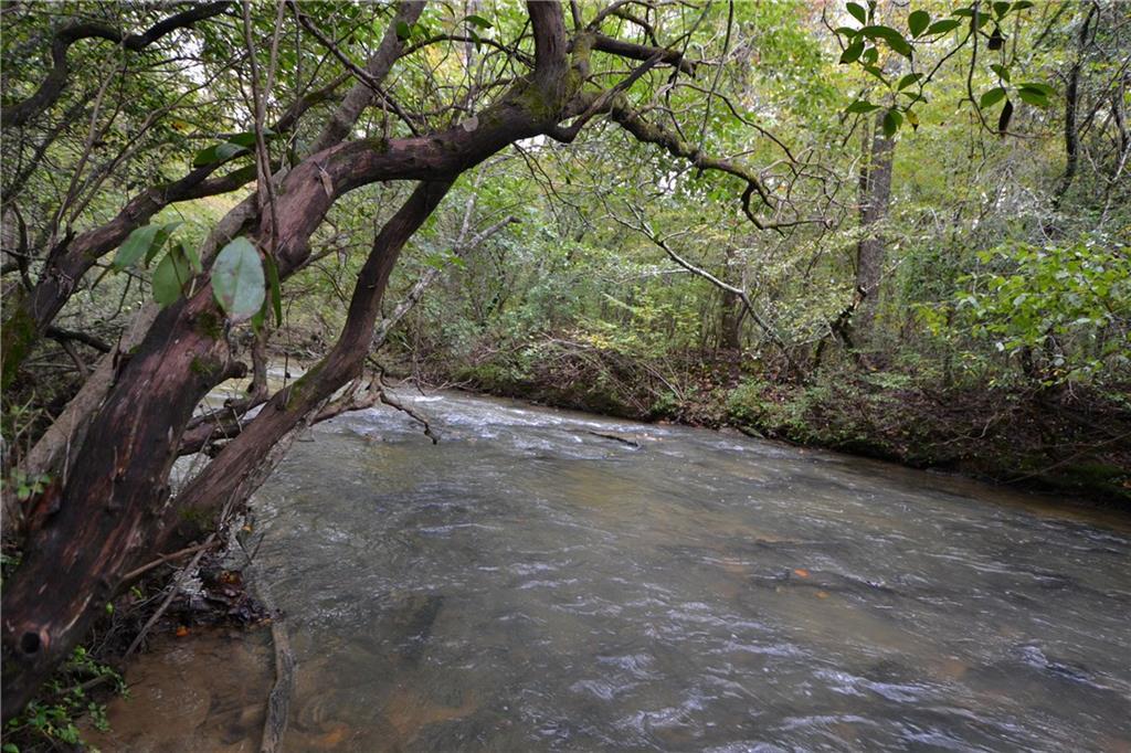 Lot 20 Town Creek Church Road - Photo 1