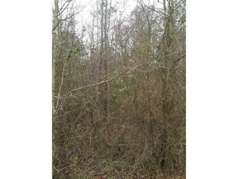 2911 Flint Hill Road - Photo 1