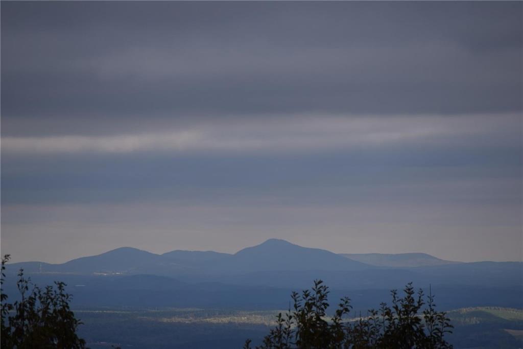 Lot 14 Lower Sassafras Parkway - Photo 1