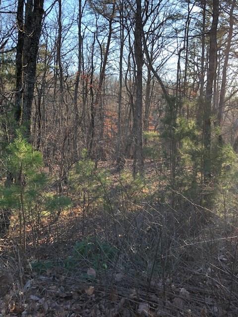 7328 Moonlight Lane - Photo 1