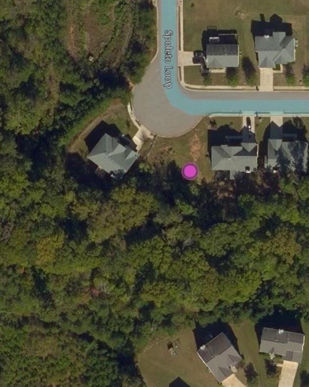 7501 Spoleto Loop - Photo 1