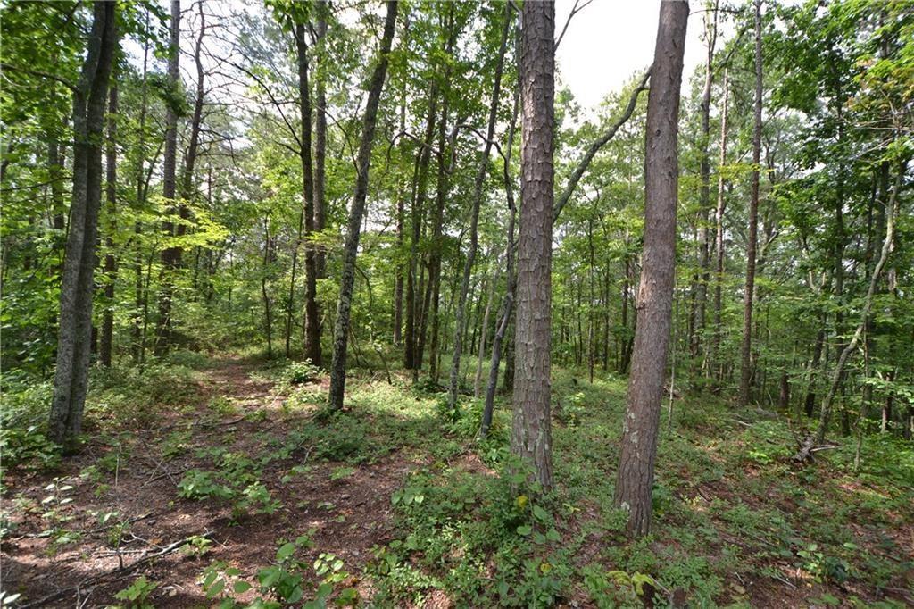 Lot 11 Meadowlands Drive - Photo 1