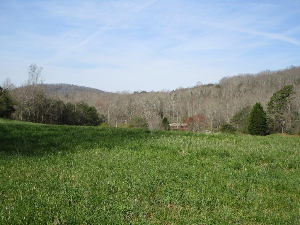 Tr 2 Porter Springs Road - Photo 1