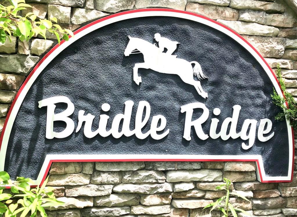 214 Bridle Lane - Photo 1