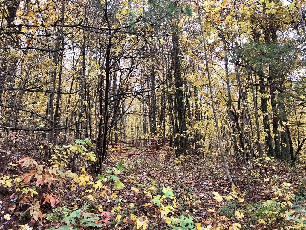 0 Burnt Mountain Road - Photo 1
