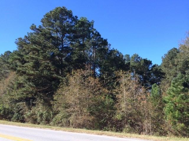 505 Hoke Okelly Mill Road - Photo 1