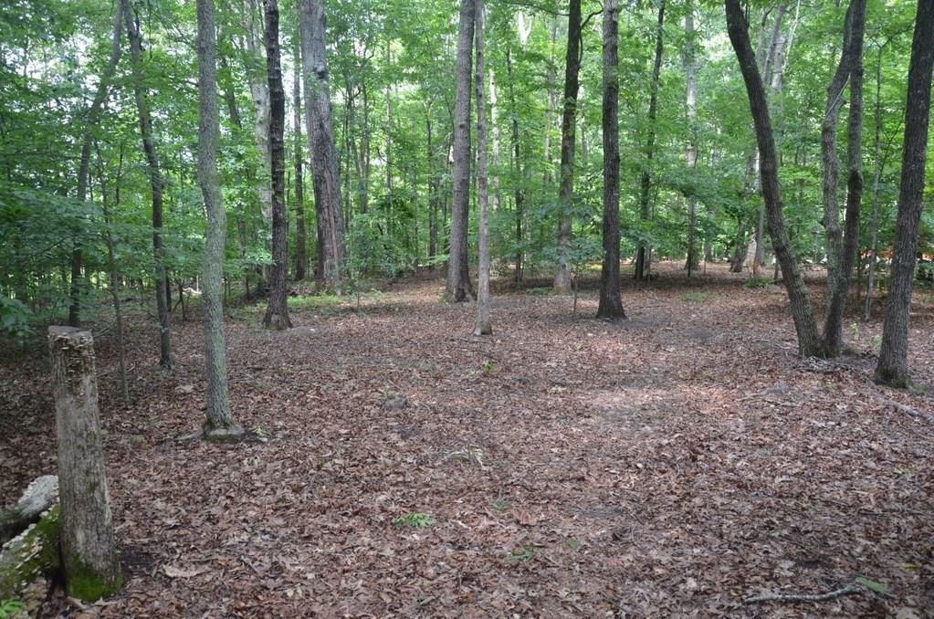 846 Holland Road - Photo 1