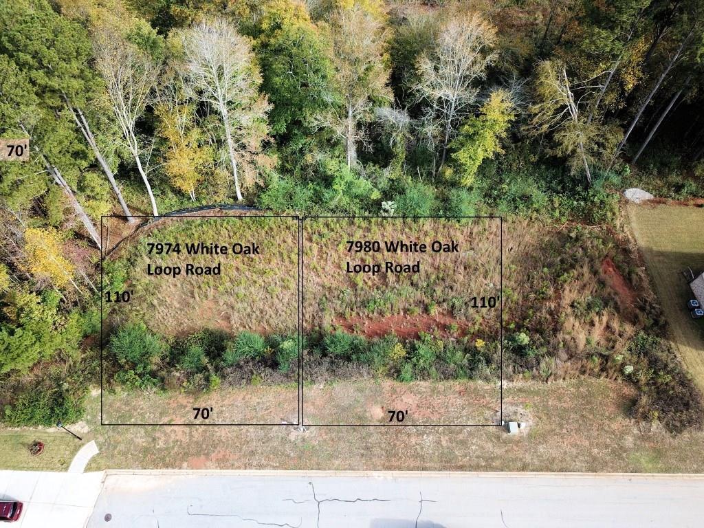 7974 White Oak Loop - Photo 1