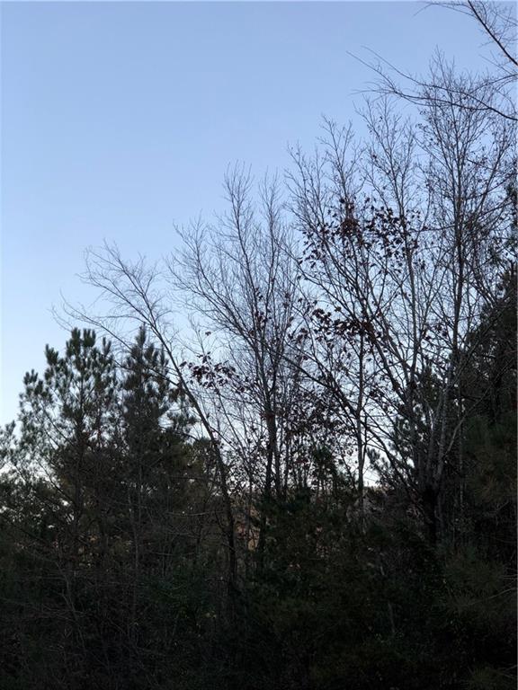 00 Red Bud Road - Photo 1