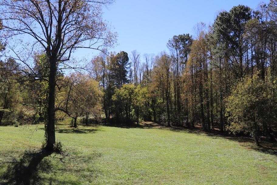 0 Tails Creek Road - Photo 1