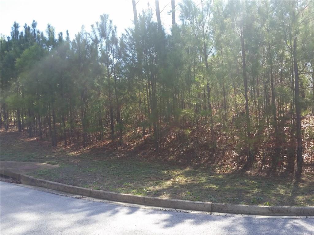 0 Shawnee (Lot 19) Trail - Photo 1