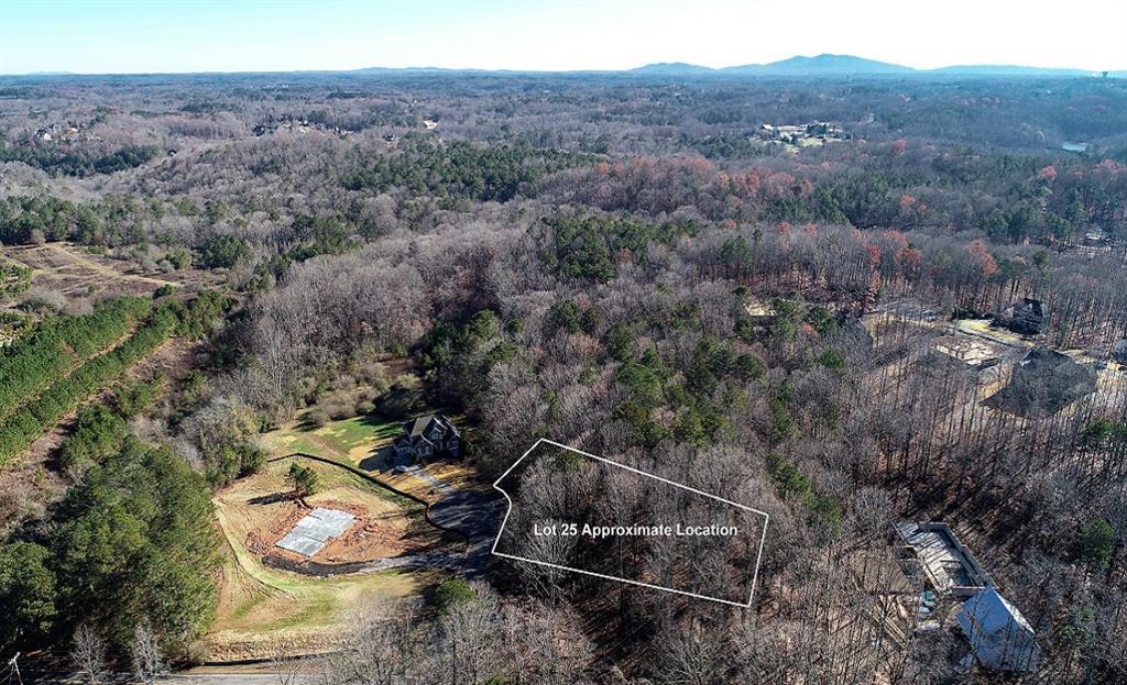 202 Timber Wolf Trail - Photo 1